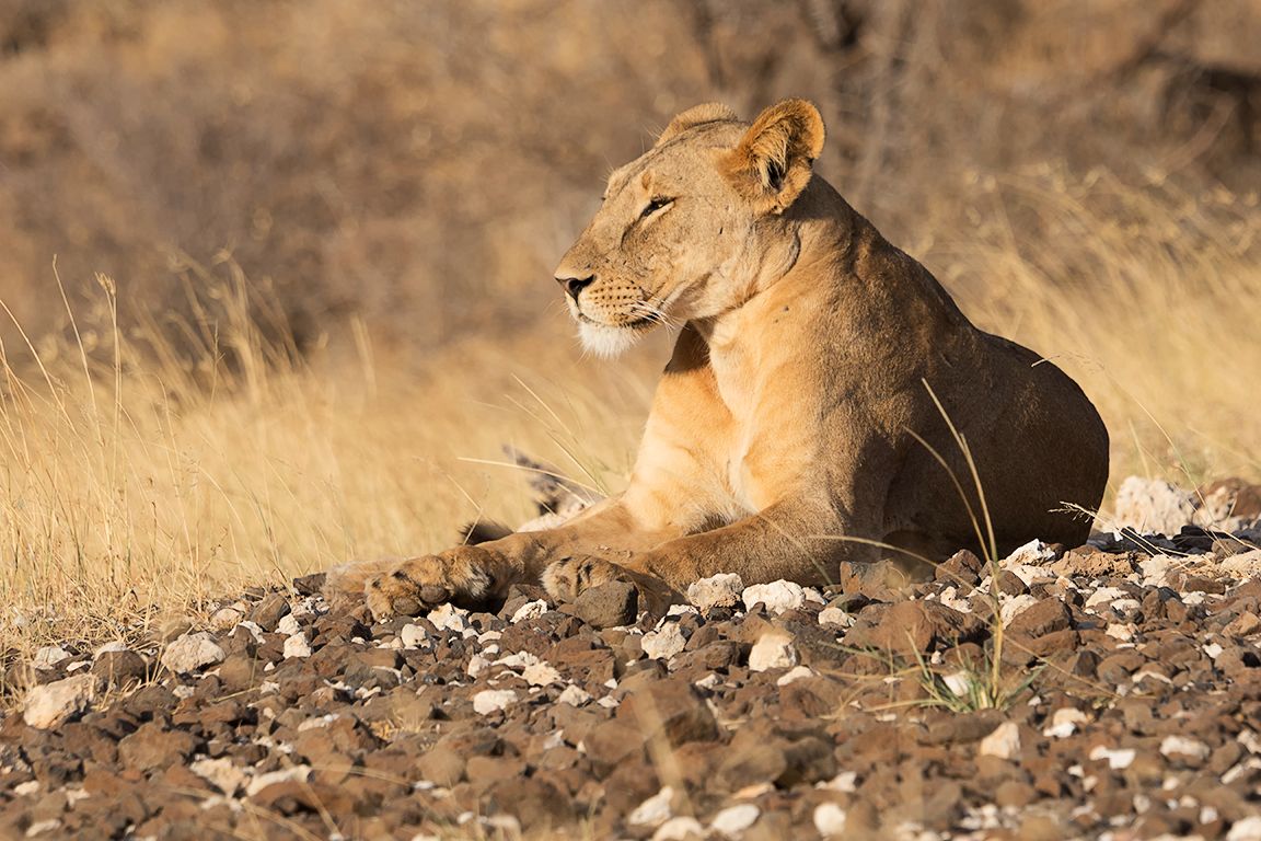 Buscan un lugar desde el que observar