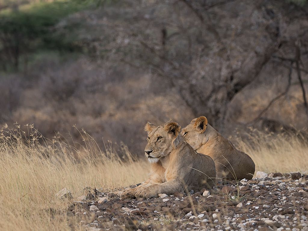 Voy abriendo encuadre