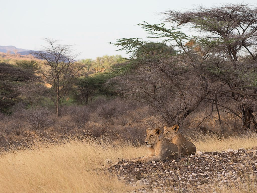 El entorno lo merece