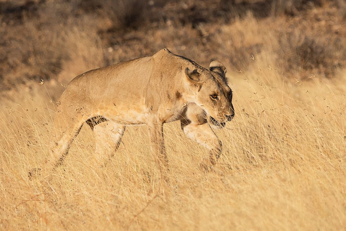 Se suceden pequeños movimientos