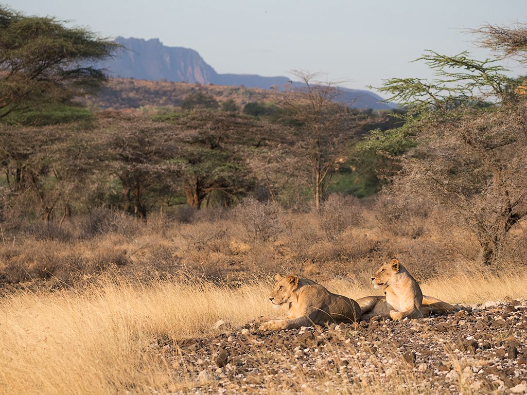 Así los dejamos cuando nos retiramos