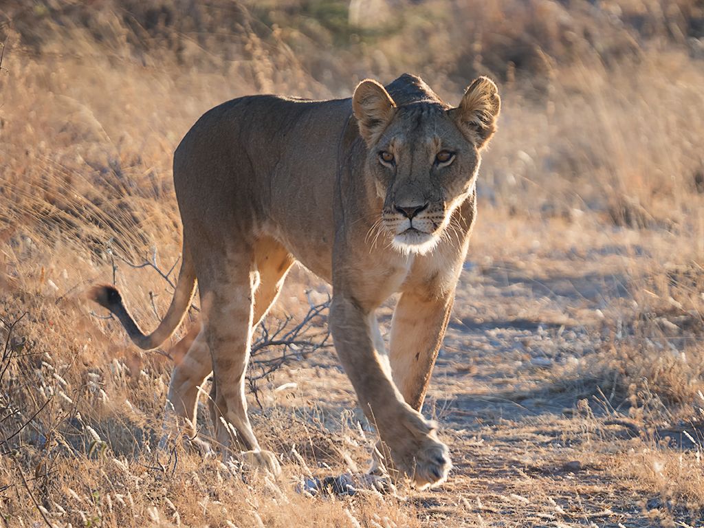 A varios kilómetros de donde los vimos el día anterior