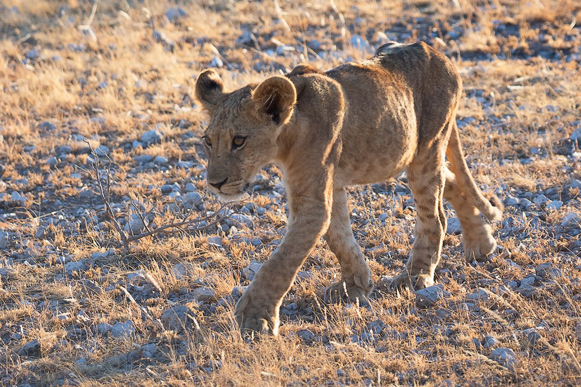Los jovencitos detrás