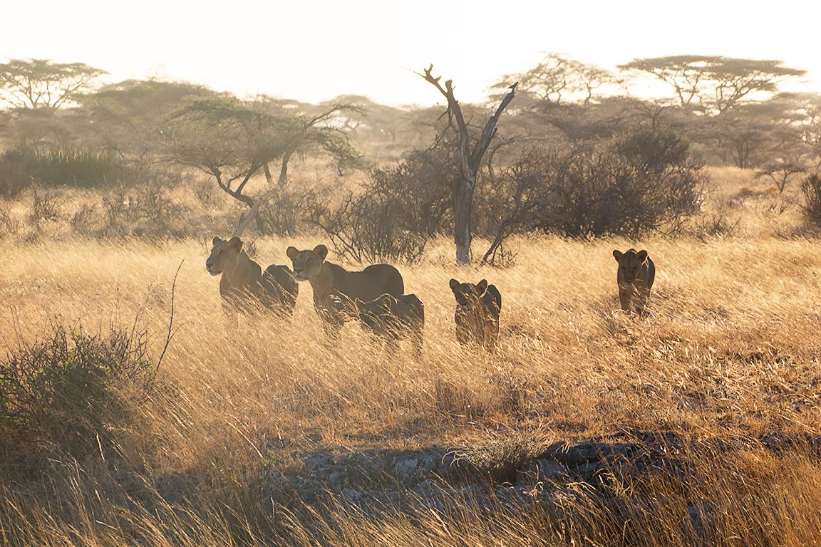 Reagrupamiento para otear