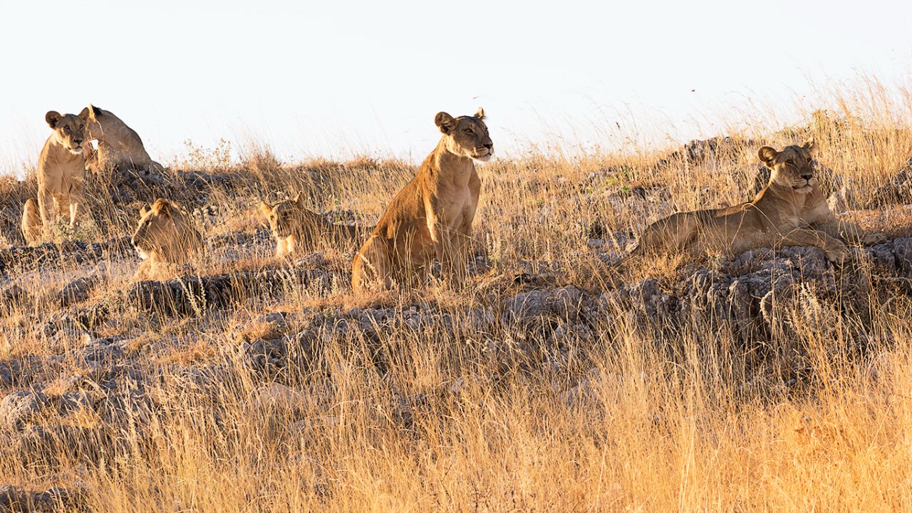 Toca tomar posiciones