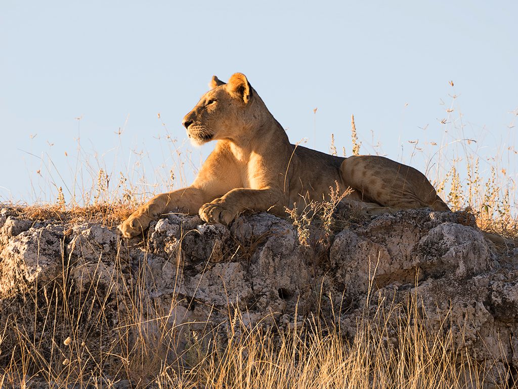 Buen lugar de vigilancia