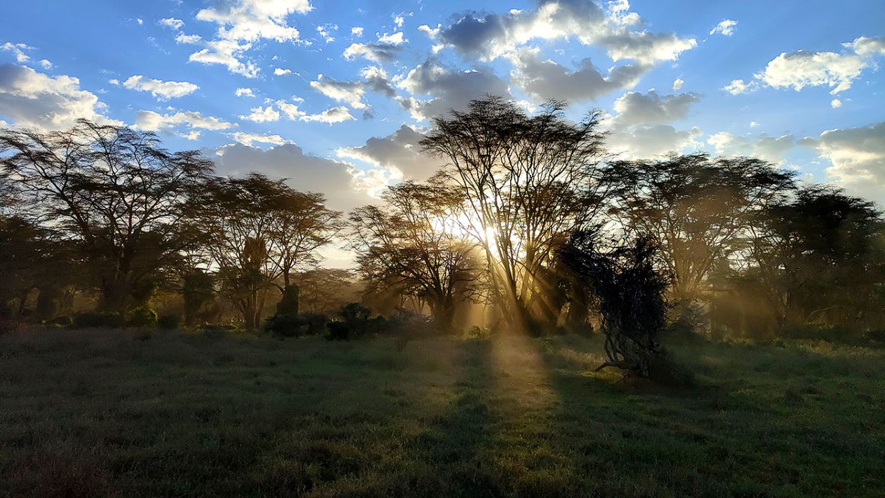 Paisajes arrebatados también