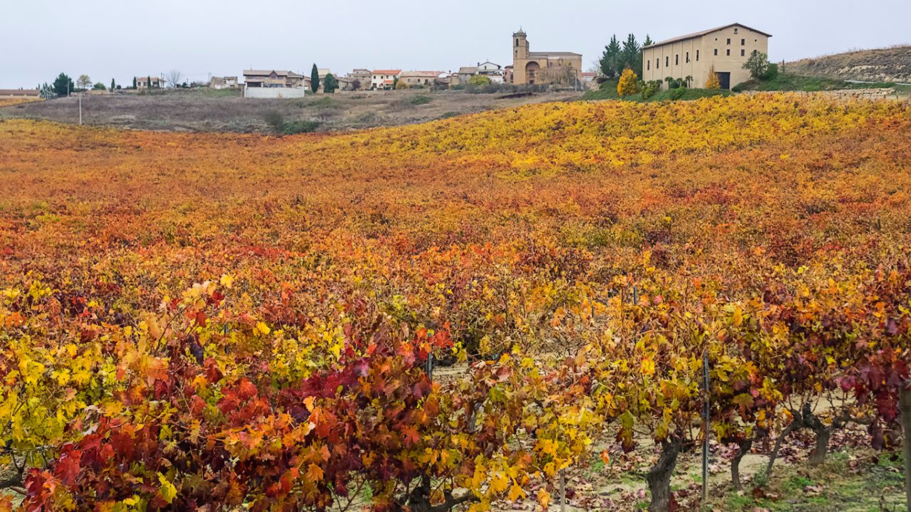 El otoño y sus colores
