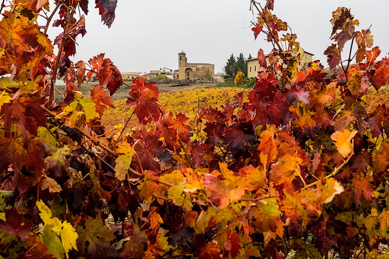 El otoño y sus colores