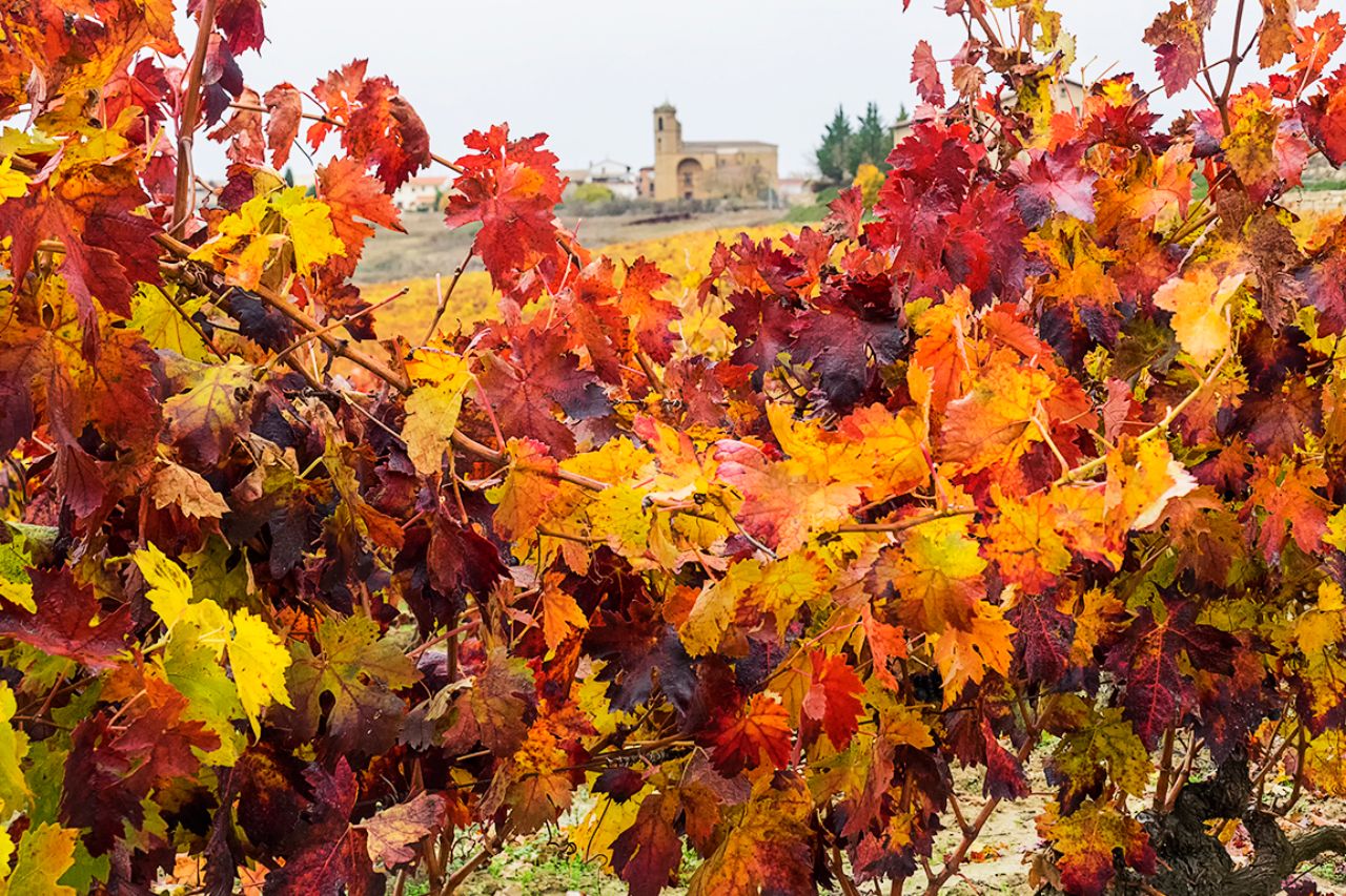El otoño y sus colores