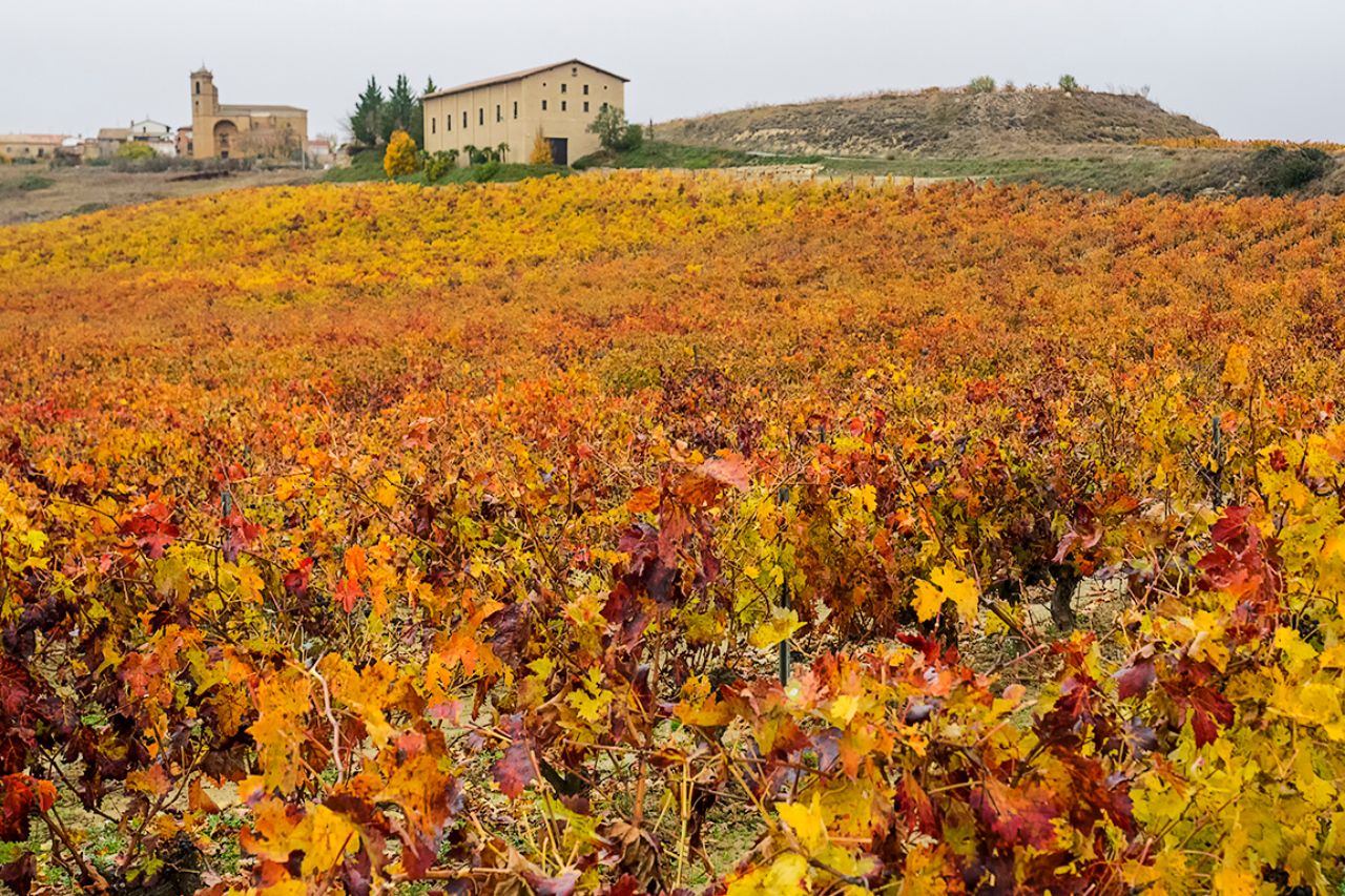 El otoño y sus colores