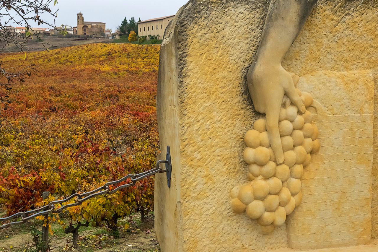 Todo en torno al vino
