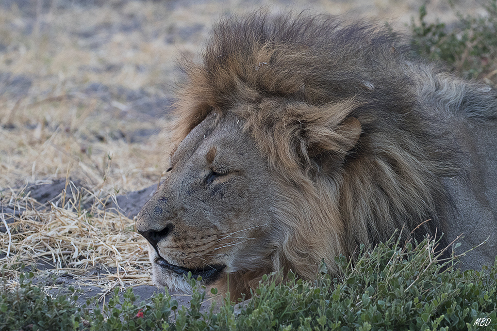 En un lugar apartado