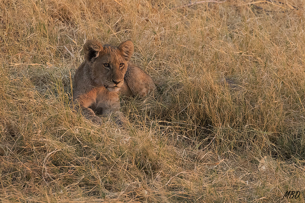 La situación me resulta familiar...