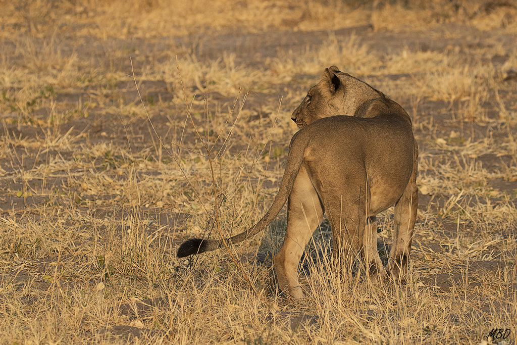 Reclama y espera al resto de la los adultos
