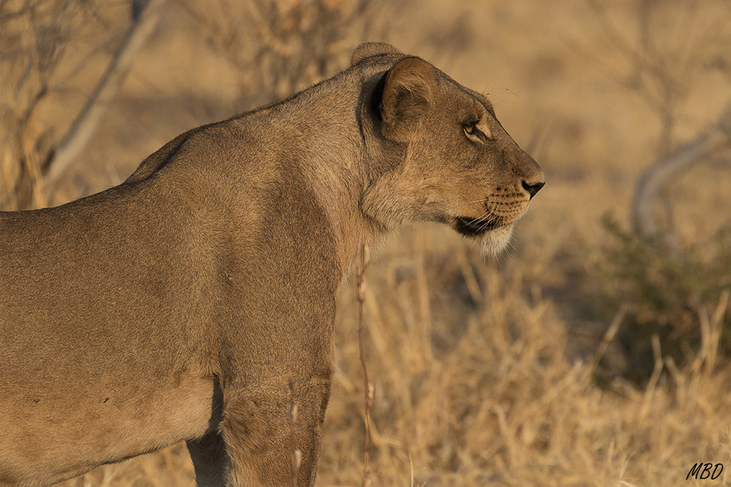 El grupo se reúne poco a poco