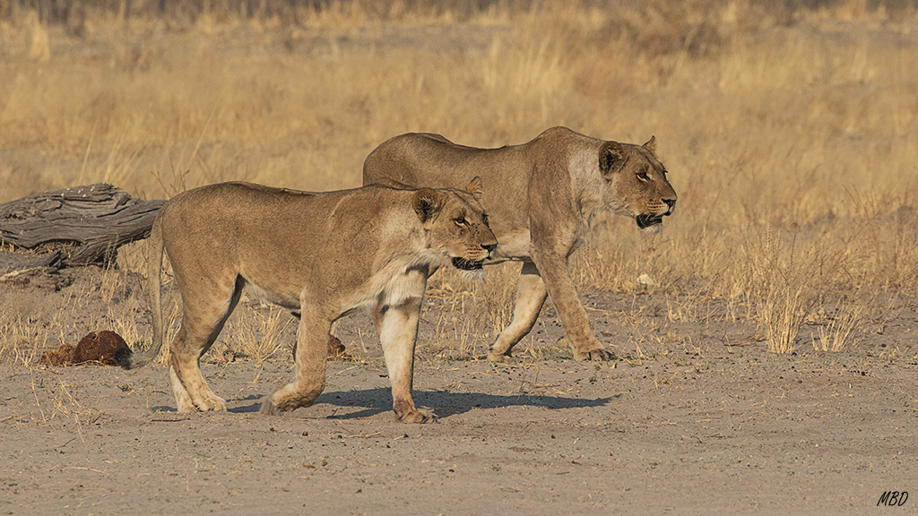 Conviene ahorrar energía