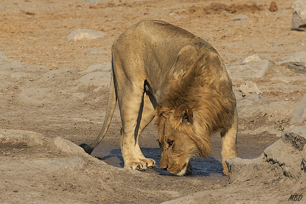 Un parada para reponer líquidos