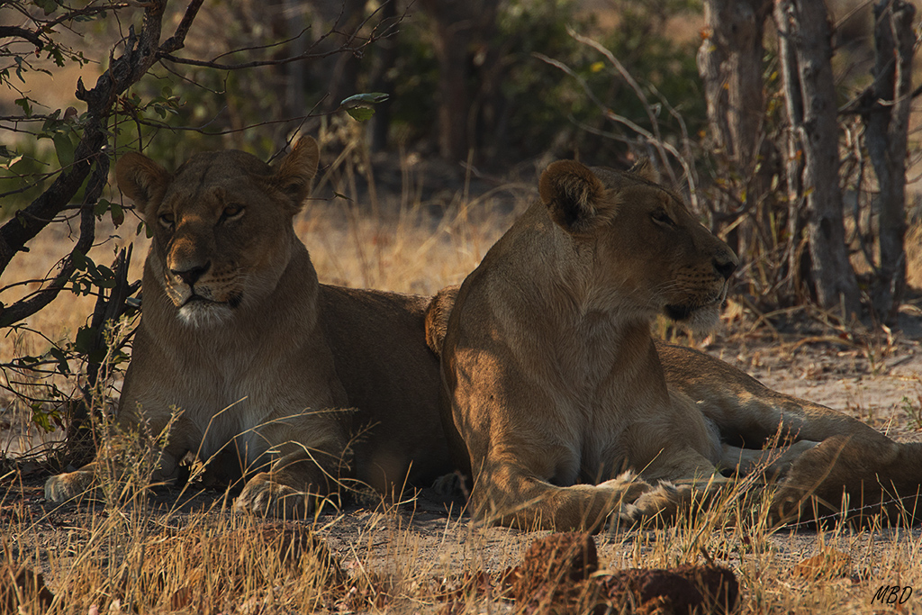 A parte de la familia le toca esperar