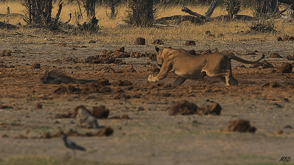 Una arrancada explosiva y corta.