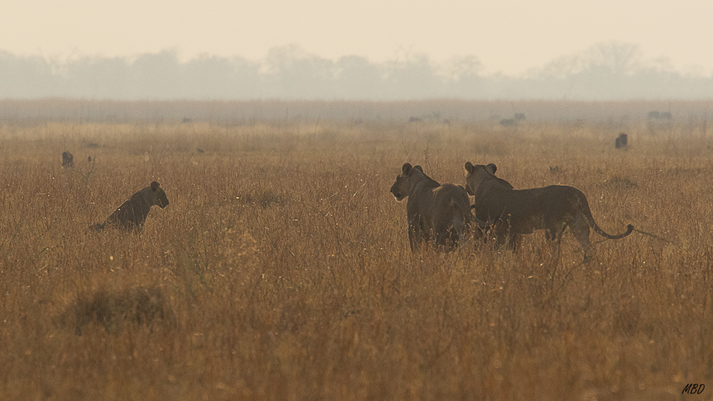 Una lección aprendida...