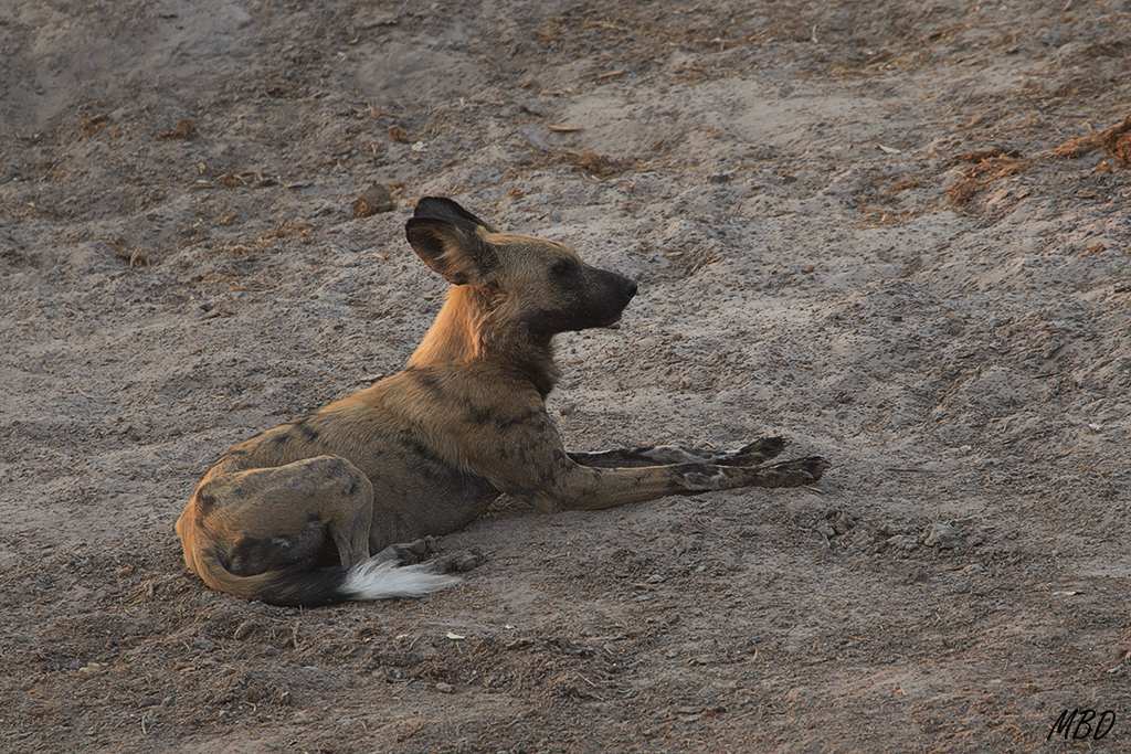 Momentos de calma y relax