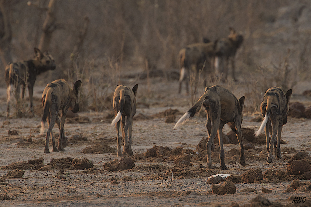 Toca ponerse en marcha