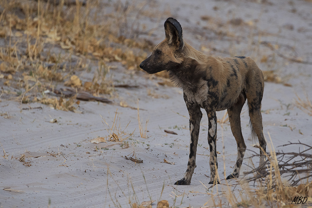 Por fin parecen encontrar el lugar adecuado