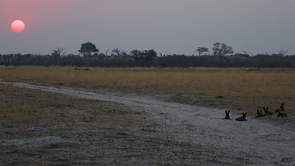 Los cahorros se quedan esperando.