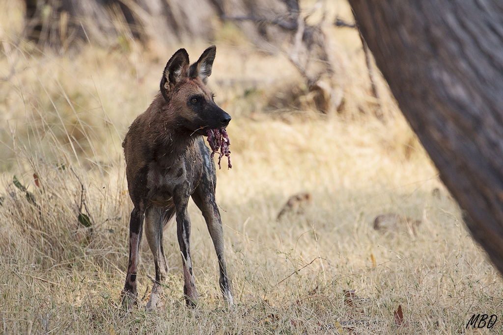 Nada se desaprovecha