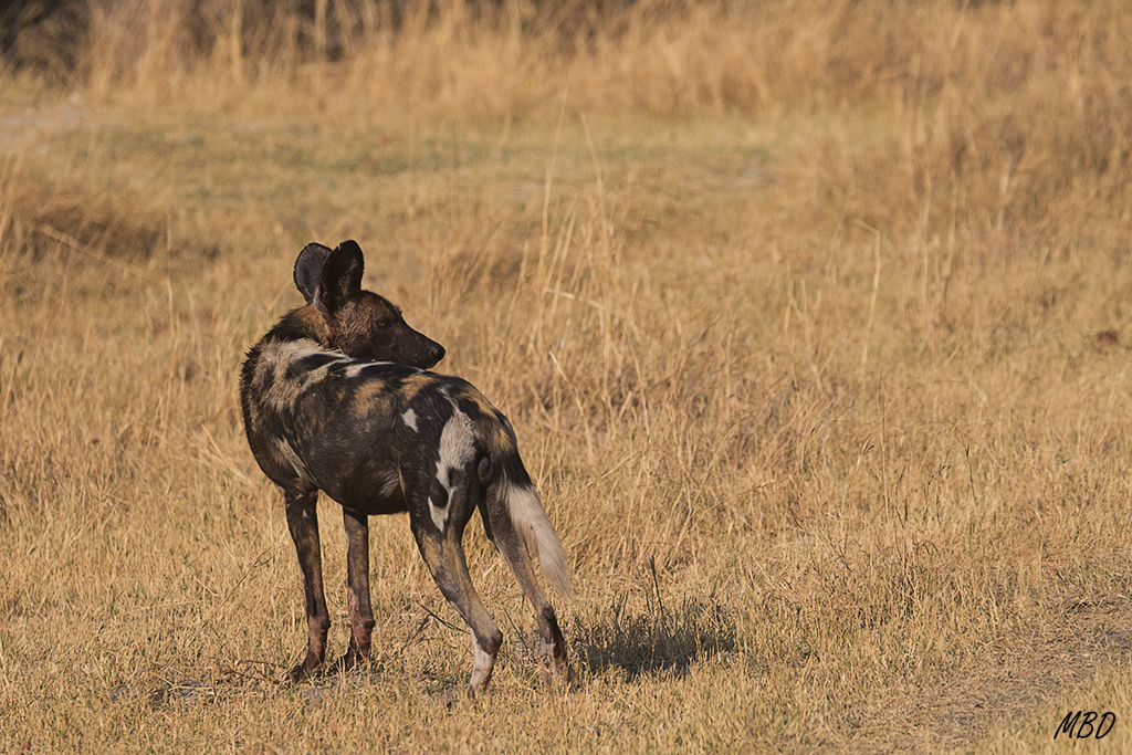 Aunque ya toca ir volviendo…