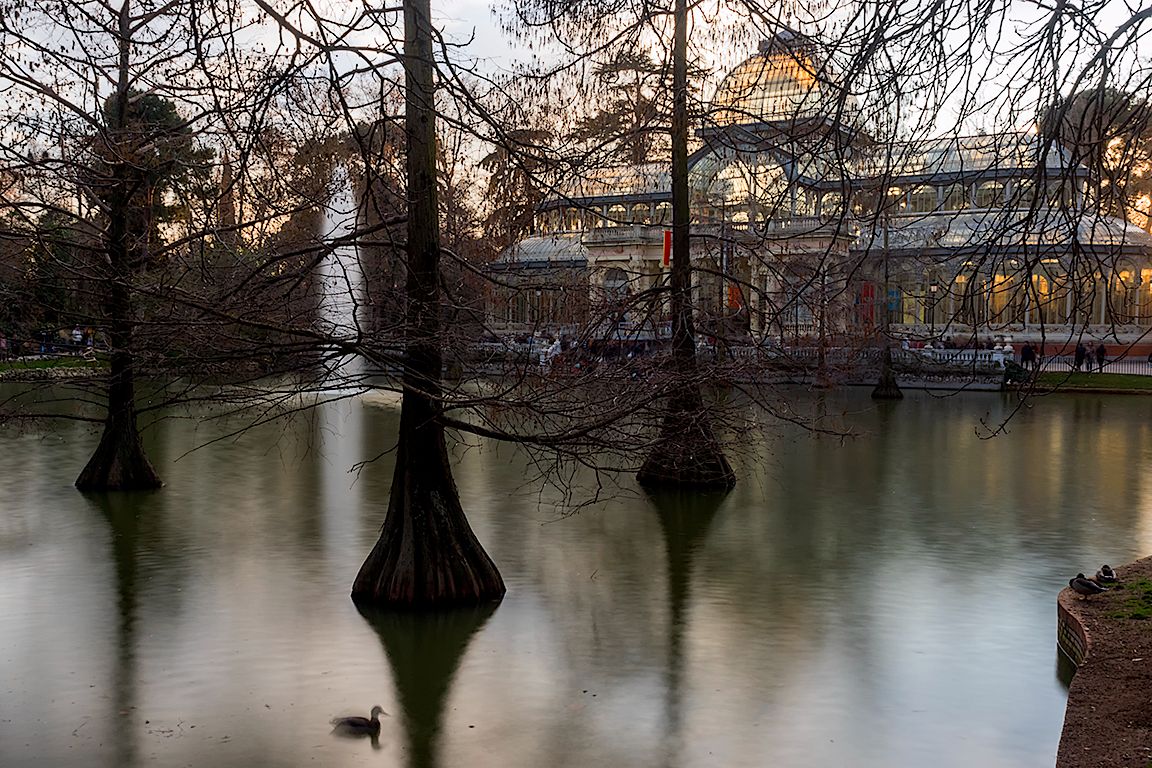Invierno en el Palacio de Cristal