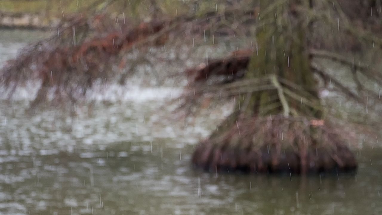 Lluvia en el Palacio de Cristal