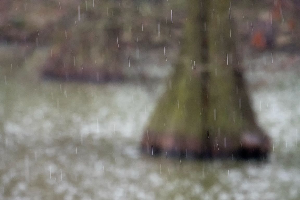 Lluvia en el Palacio de Cristal