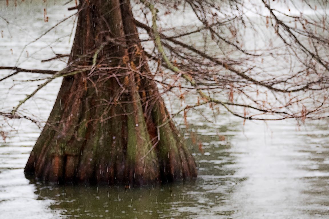 Lluvia en el Palacio de Cristal