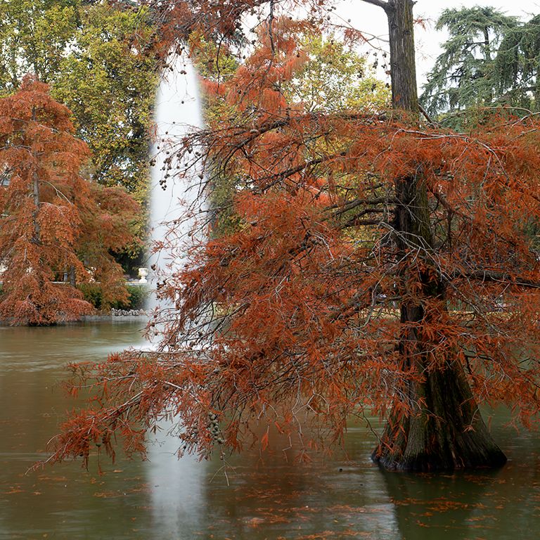 Otoño en el Palacio de Cristal