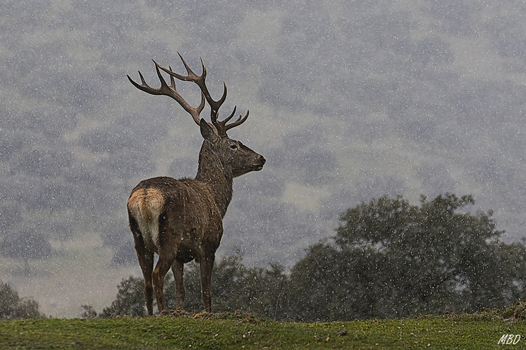 Andújar, ene2017. Desde el coche.