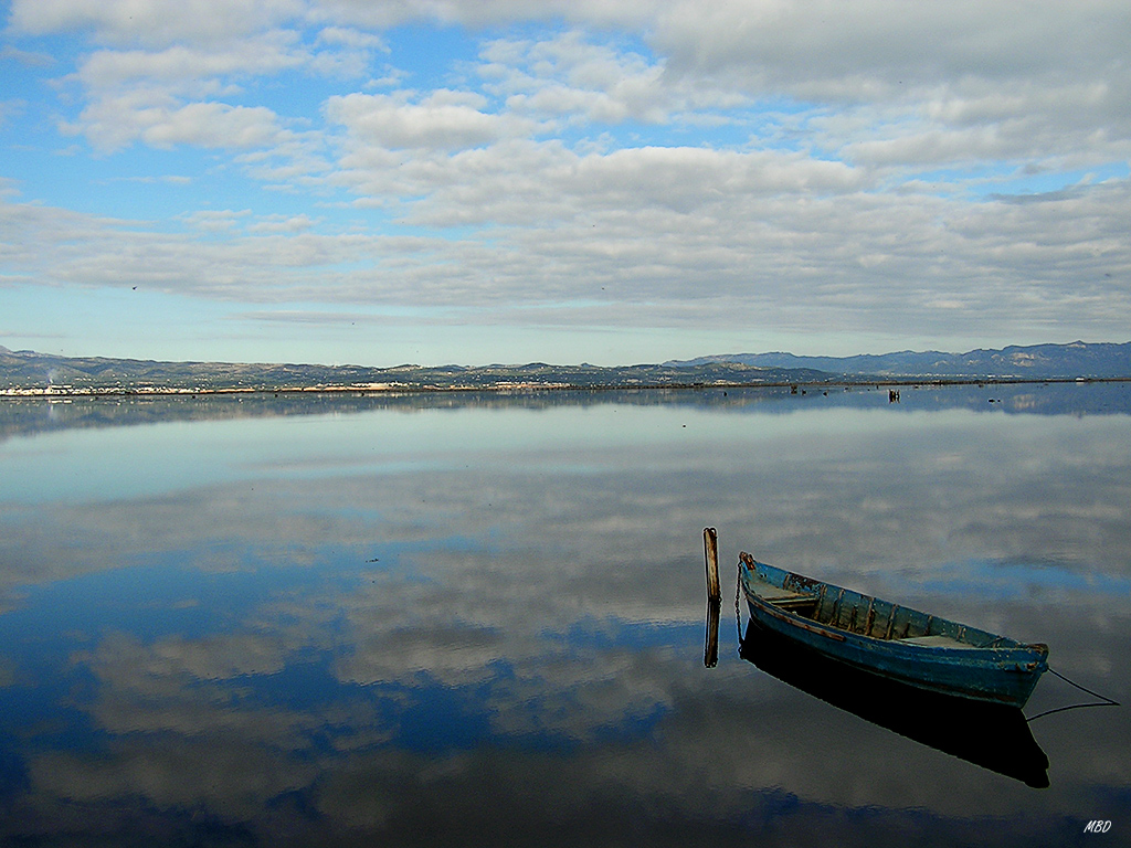 Delta del Ebro, dic2005. Ni el aire se movía.