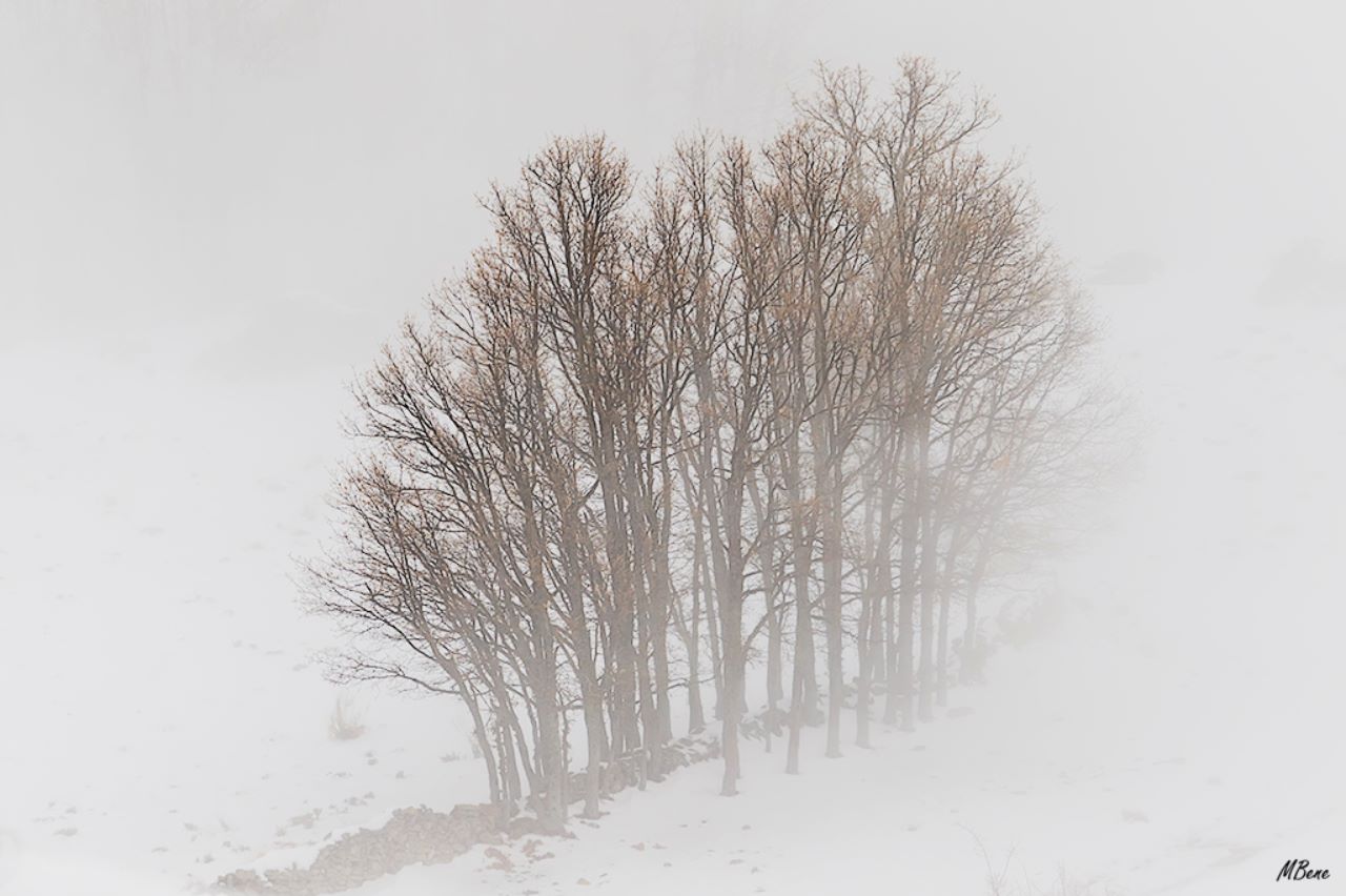 Valle de Lozoya, ene2018