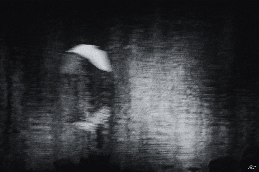 Embalse de Santllana, dic2016