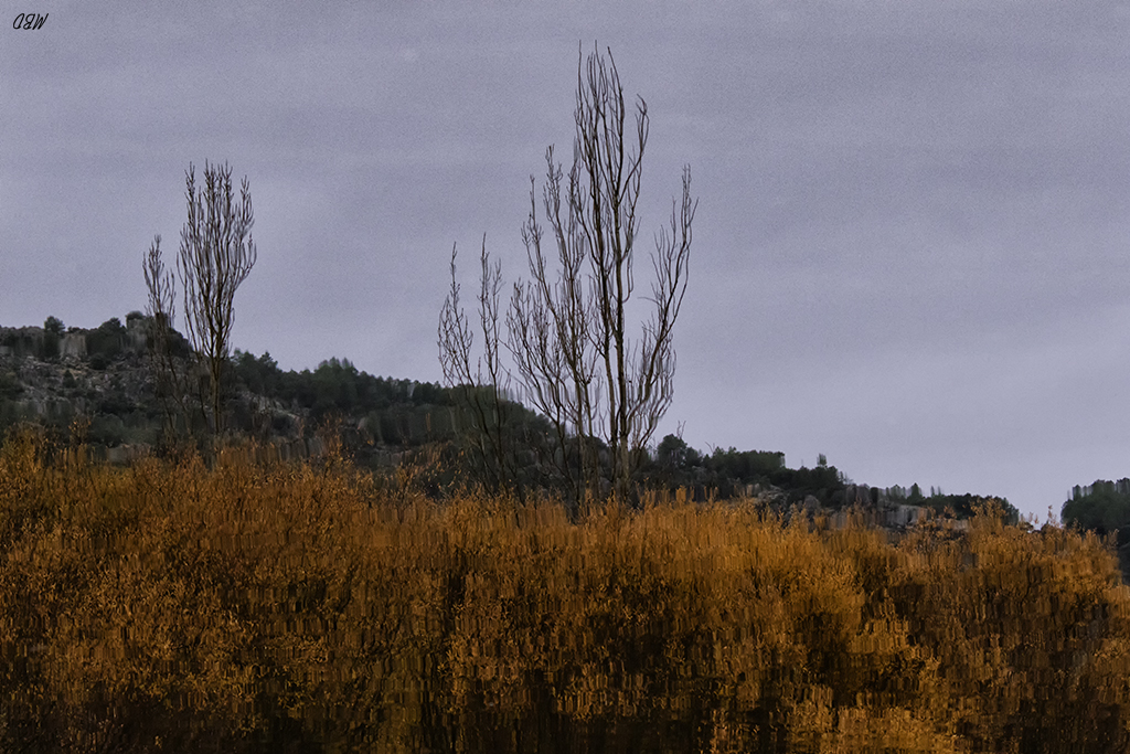 Embalse de Santllana, dic2016