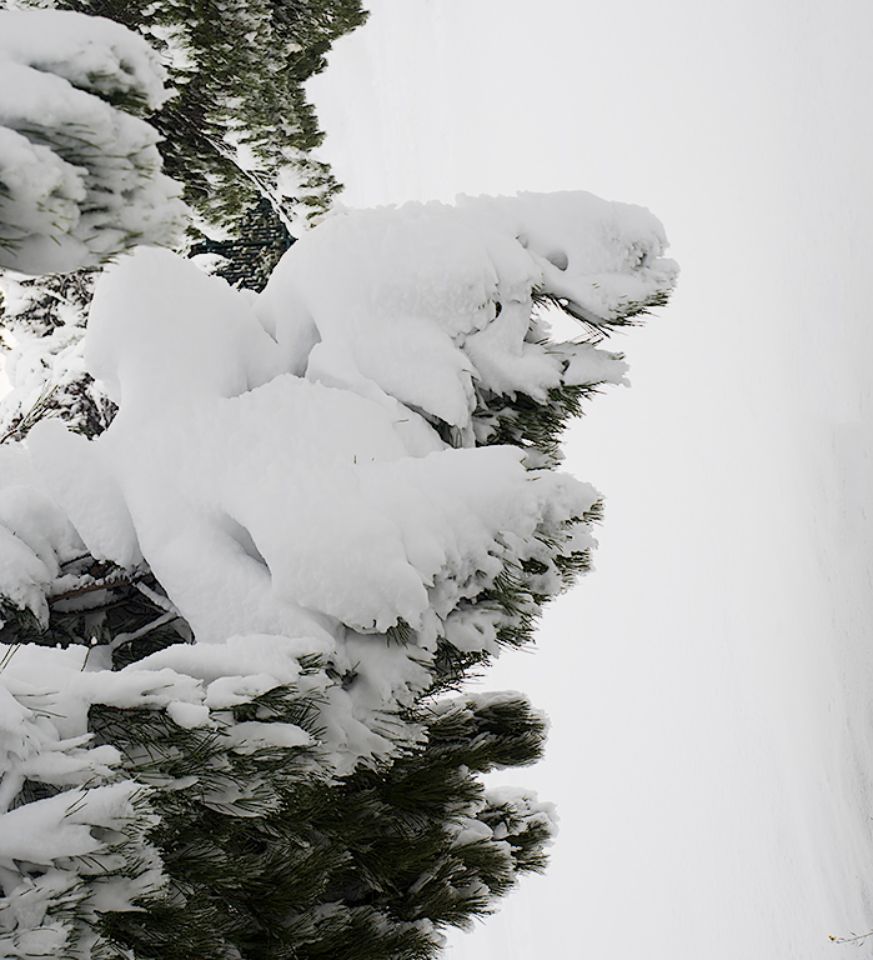 La historia interminable