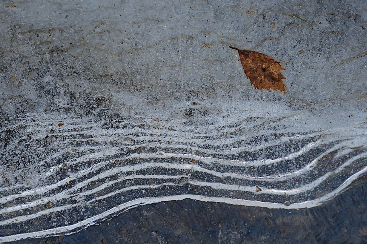 Bodegón sobre hielo