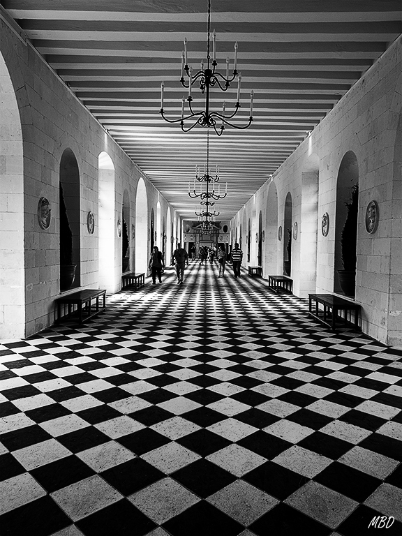 Castillo de Chenonceau, jun2017