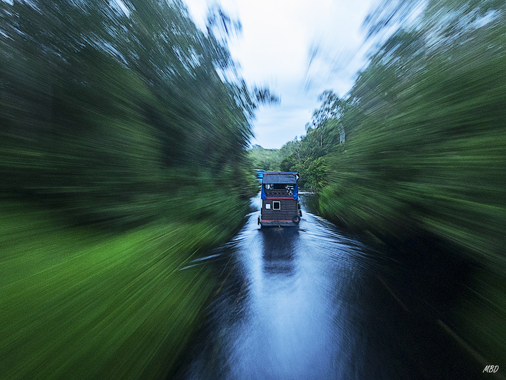 Borneo, ago17