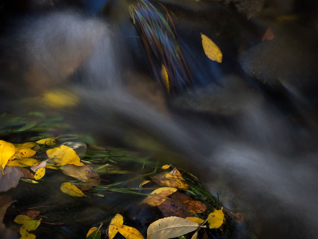 Pinceladas de otoño