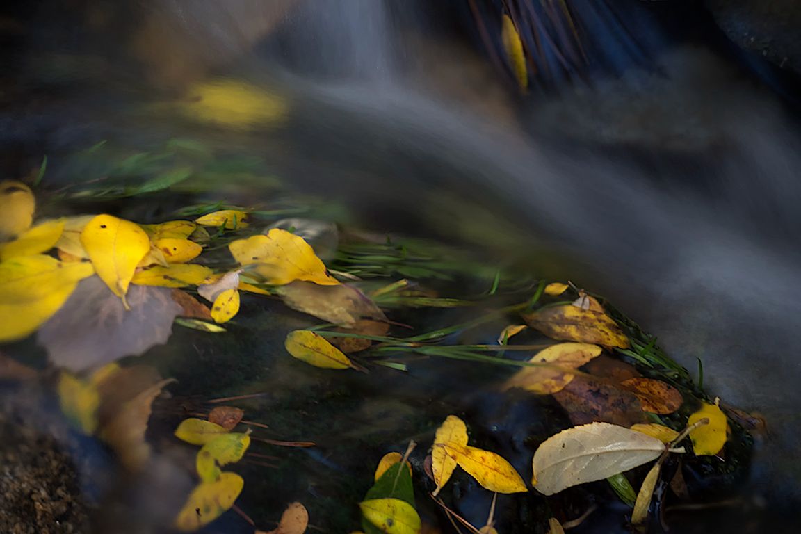 Pinceladas de otoño