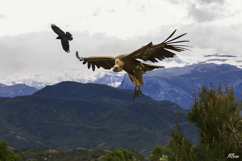 Y continuan llegando