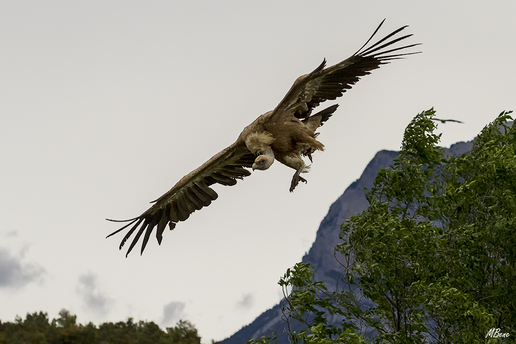 La diagonal da vértigo