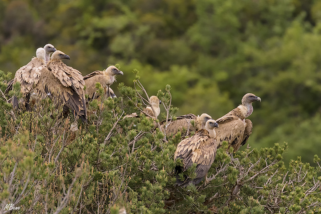 Descansan antes de irse